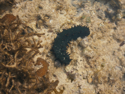 c0180460_251159.jpg