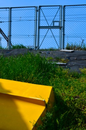 c0108673_21424263.jpg