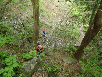 ミツバツツジの井原山（福岡県糸島市）_d0182075_4572052.jpg