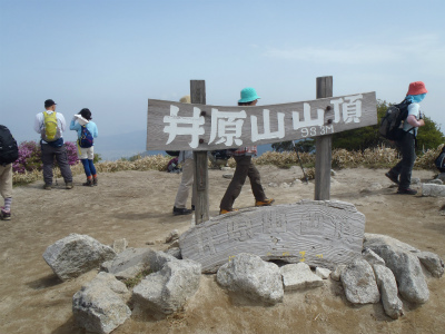 ミツバツツジの井原山（福岡県糸島市）_d0182075_563477.jpg