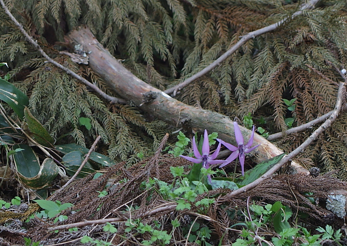 e0165983_11202891.jpg
