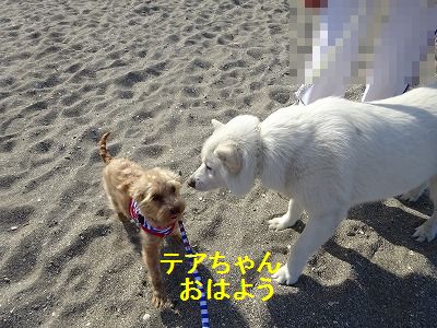 とりあえず安定してます_e0222588_17375605.jpg