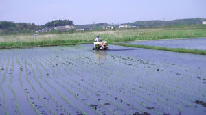 c0049489_2012533.jpg