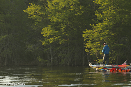 Bassmaster Elite Series #4 Toledo Bend Reservoir 3日目_a0097491_7554338.jpg