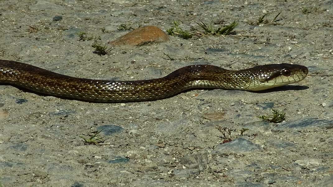 a0152692_1912483.jpg
