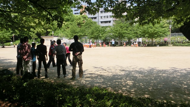 大阪都市構想頑張れ橋下徹市長、元気な町に元気な子供の声頑張れ今村岳司市長、小保方STAP細胞の存在_d0181492_0415261.jpg