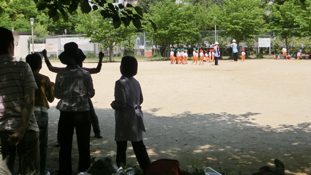 大阪都市構想頑張れ橋下徹市長、元気な町に元気な子供の声頑張れ今村岳司市長、小保方STAP細胞の存在_d0181492_0421298.jpg