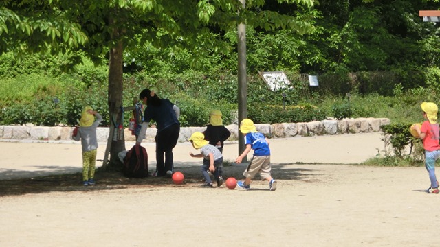 大阪都市構想頑張れ橋下徹市長、元気な町に元気な子供の声頑張れ今村岳司市長、小保方STAP細胞の存在_d0181492_0465936.jpg