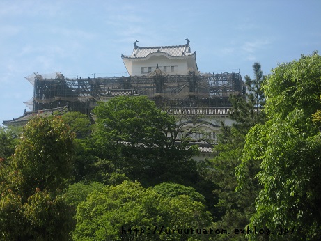 f0210495_1433963.jpg