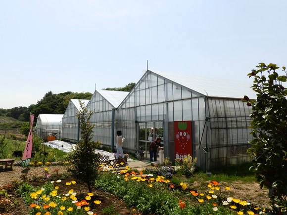イチゴ狩り 岸井農園 上尾市 幻夢写絵 イチゴ狩り 岸井農園 上尾市 幻夢写絵