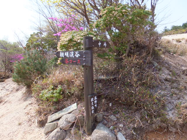 a0271502_637586.jpg