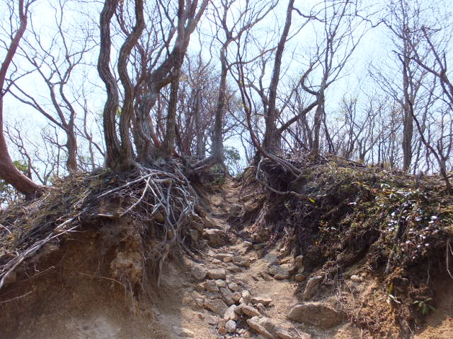 a0271502_65359.jpg