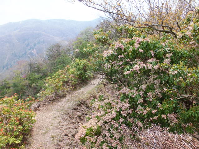 a0271502_70560.jpg