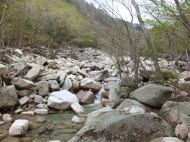a0271502_7121449.jpg