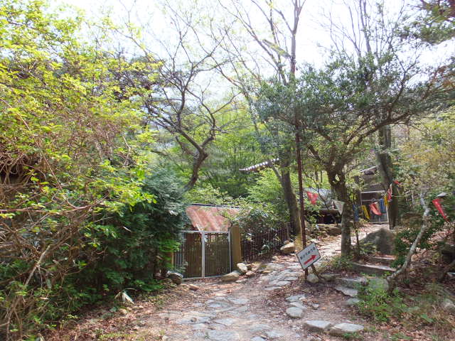 a0271502_716127.jpg
