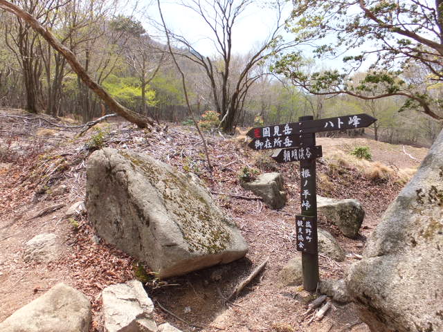 a0271502_73359.jpg