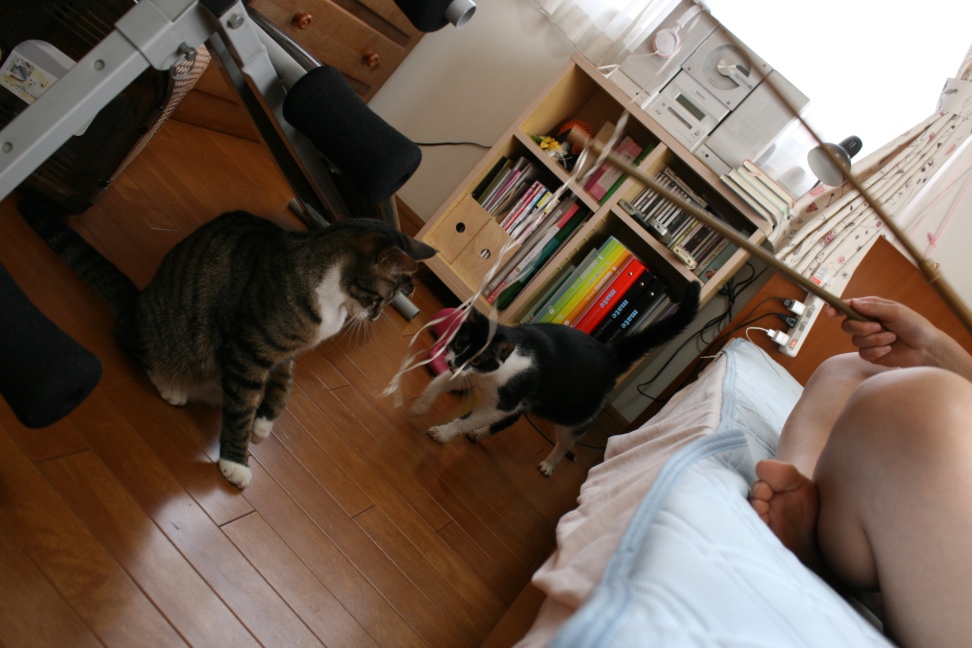 あさひな&かんな姉妹 新生活スタート!_f0242002_1722942.jpg