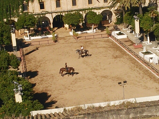 c0212604_05351.jpg