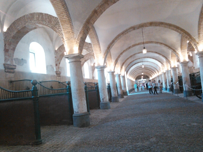 c0212604_2451252.jpg