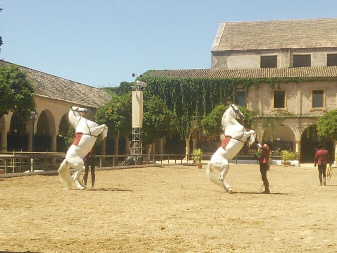 c0212604_255930.jpg
