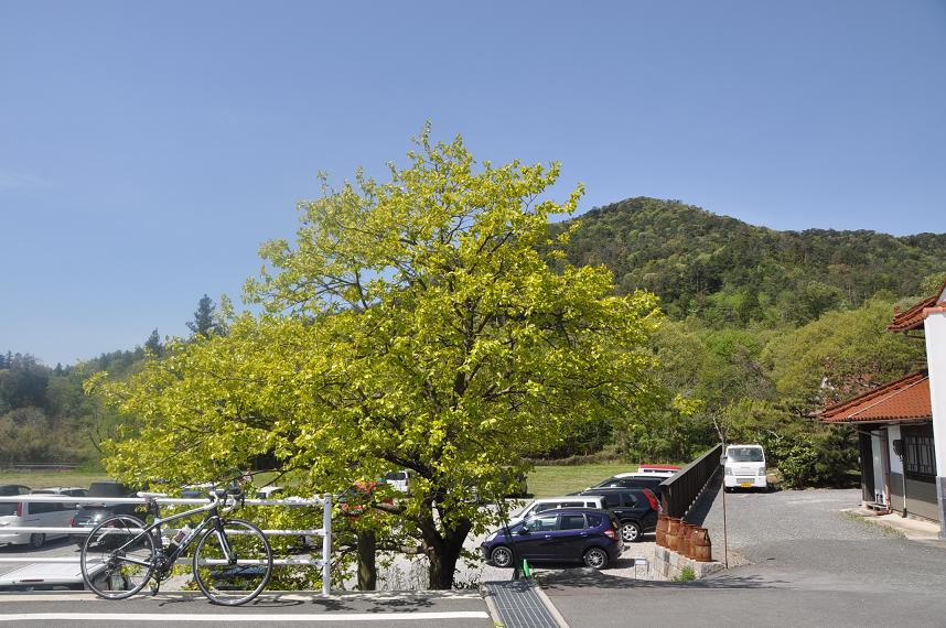 ゆるサイ　東広島・加茂大地♪　②_b0246207_10303762.jpg