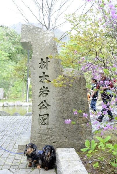 d0179113_00073481.jpg