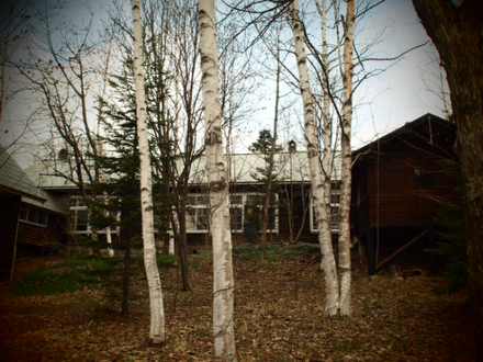 a0114514_20272985.png