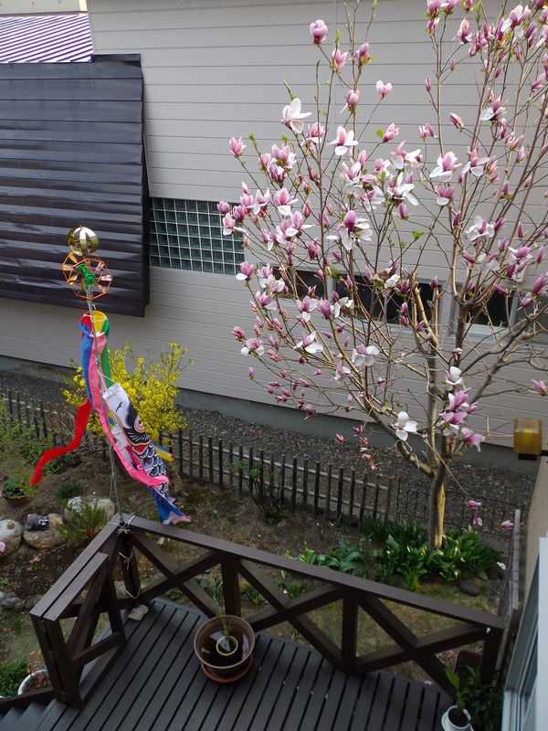 こどもの日終了_c0025115_21525162.jpg