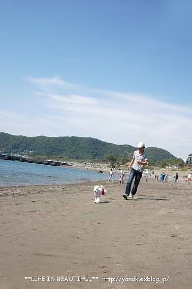風まかせ_d0083623_1241211.jpg