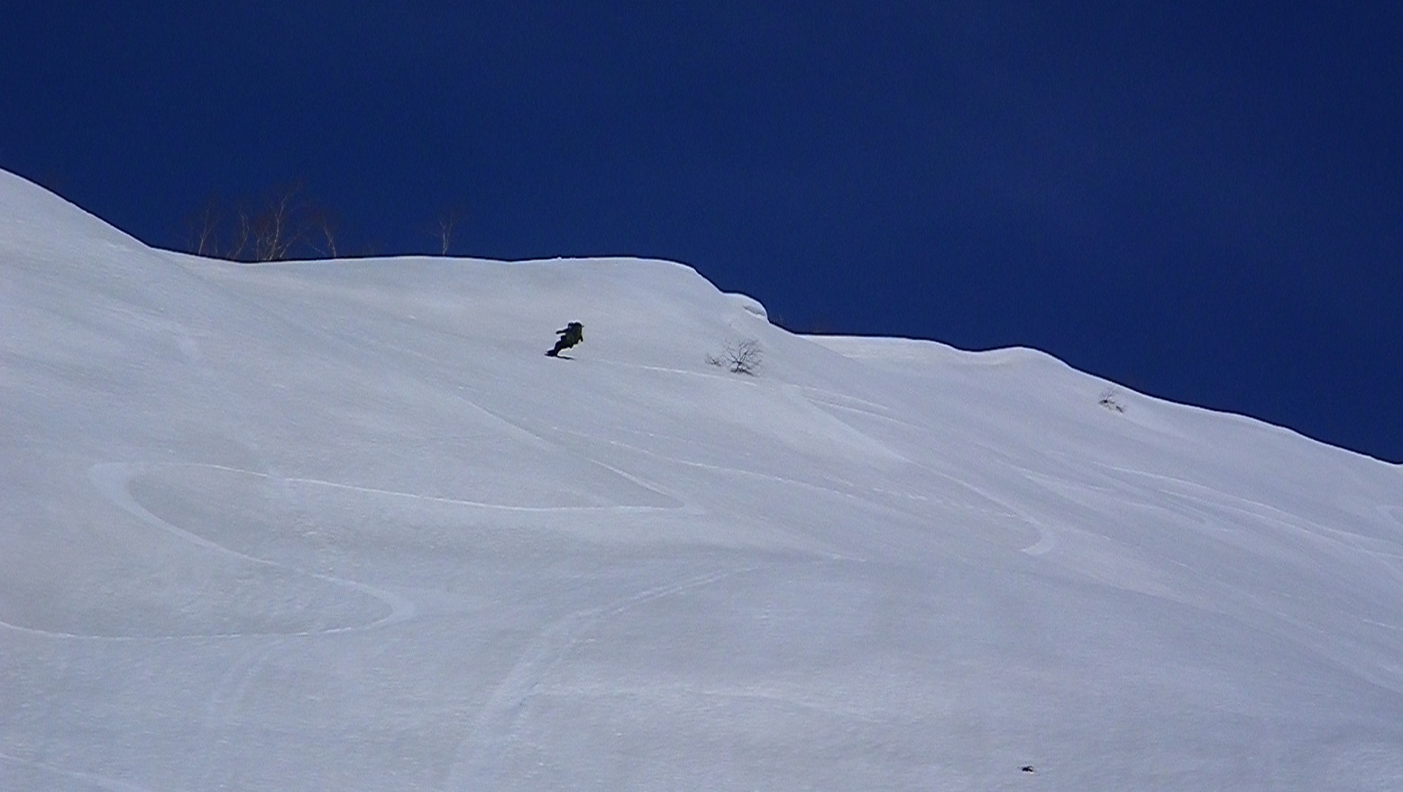b0062024_1373669.jpg