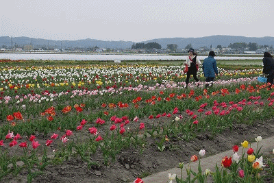 f0326925_23150112.gif