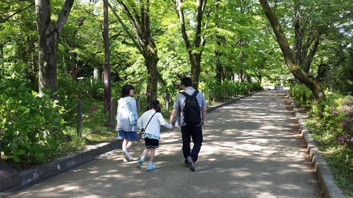 岐阜城と金華山へ初登山_e0249526_166972.jpg