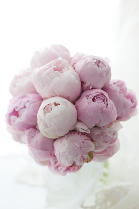 ピンクの芍薬のブーケ ザ・ペニンシュラ東京さまへ 春酔 _a0042928_1945296.jpg