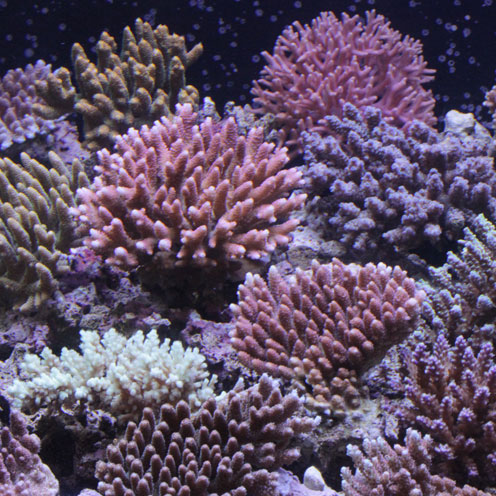 d0221436_22332494.jpg