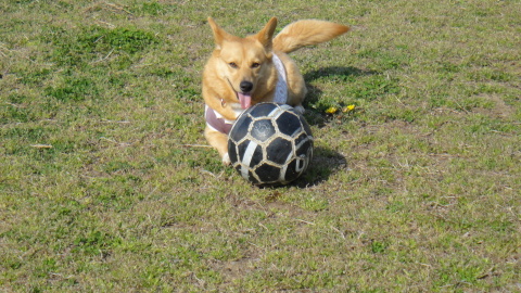 e0200357_13112481.jpg