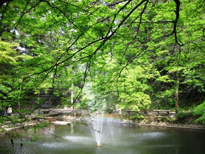 c0190960_8243088.jpg