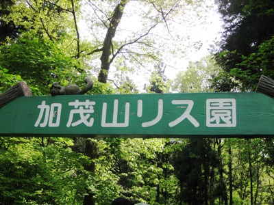 c0190960_8245314.jpg