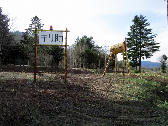 c0023862_21040168.jpg