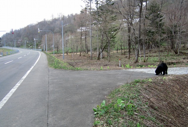 c0023862_21043647.jpg