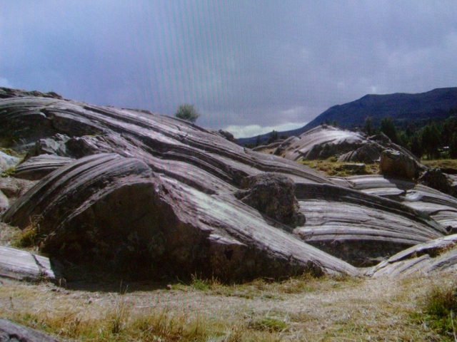 e0099662_964314.jpg