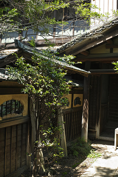 2014/05/05 岩槻散歩(ゾロ目散歩)_b0171364_11485753.jpg