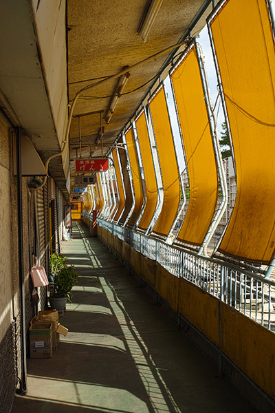 2014/05/05 岩槻散歩(ゾロ目散歩)_b0171364_11564573.jpg