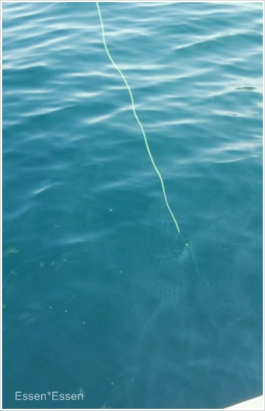 c0125464_15055.jpg