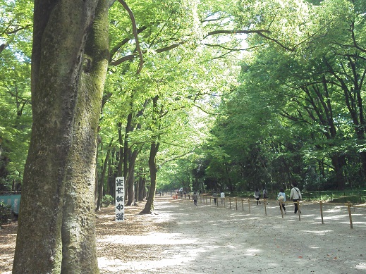 極鶏でもフラれ洋食→下賀茂神社→御所　２週連続の京都散歩その二　　_d0204668_7335435.jpg