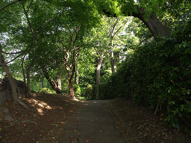 b0006870_8214018.jpg