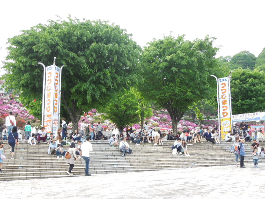 鯖江つつじ祭り 日だまりカフェ