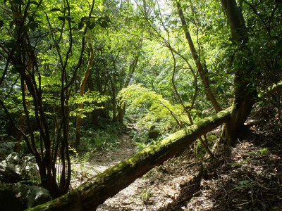 d0182075_40343.jpg