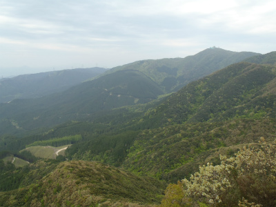 d0182075_430793.jpg