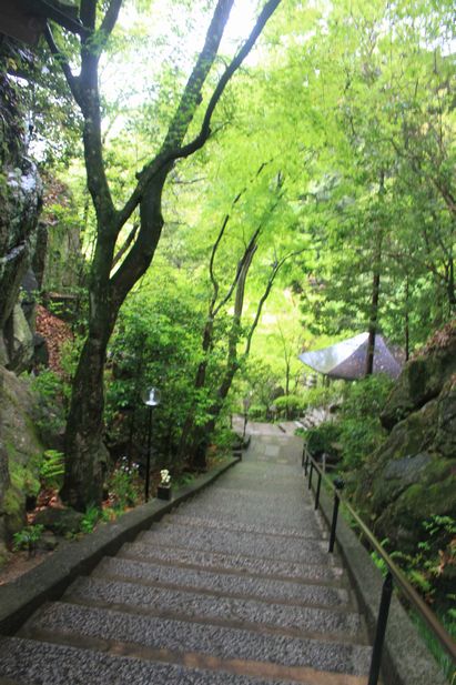 新緑の三滝寺_c0201878_20163719.jpg