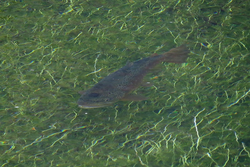 c0313378_13341416.jpg